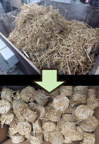 Briquettes from straw