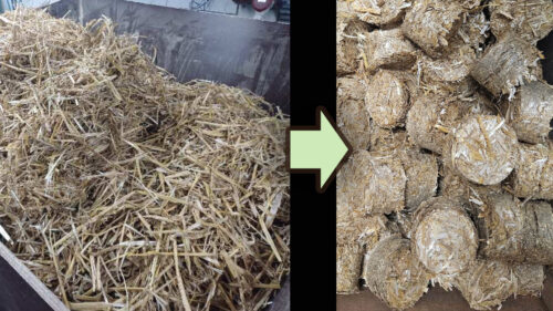 Briquettes from straw